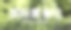 创意简约清晰素食日公众号首图图片下载