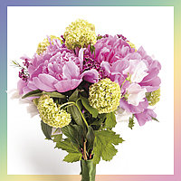 创意简约清晰花公众号次图图片下载