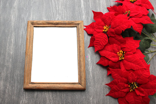 照片框围绕一品红花，藤条和风车作为圣诞祈祷的圣诞信息图片下载