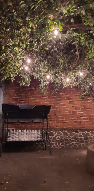 在院子里放松一下图片下载