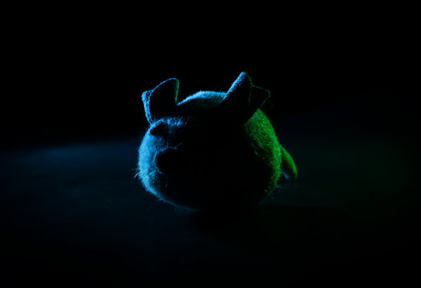 背光的鼠标形状。图片下载