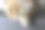 一只狗躺在扶手椅上，好奇地看着旁边图片下载
