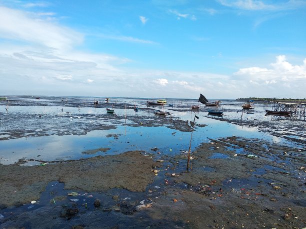 渔民从海里捕鱼。在probolinggo的渔村。容器中的鱼图片下载