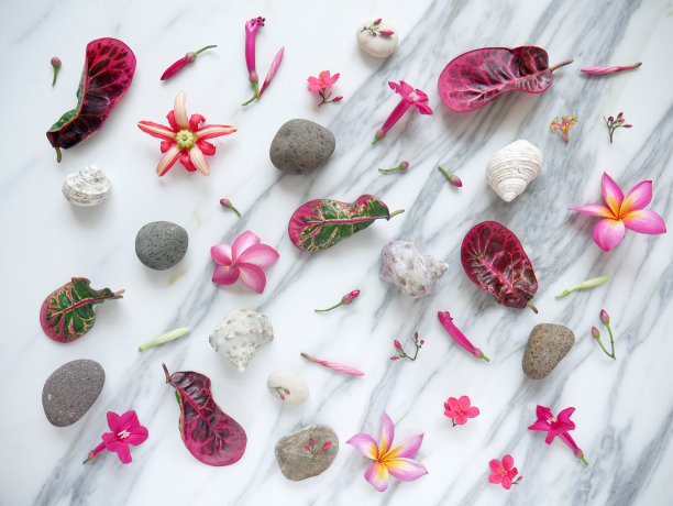 横幅或壁纸水疗花，禅宗石，贝壳孤立在白色大理石上。图片下载