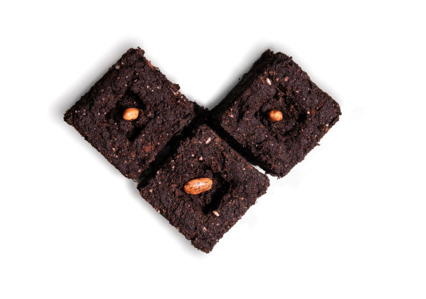 俯视图的豆子在土壤块，形状像一颗心。图片下载