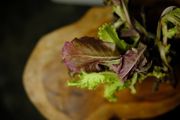 在一杯水中枯萎的红莴苣图片下载