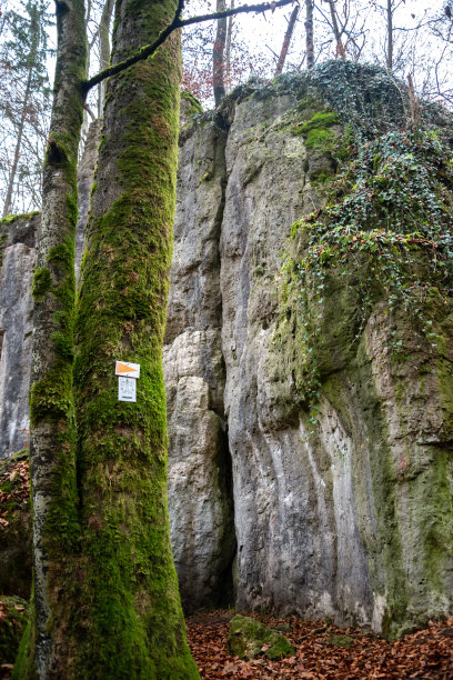 秋天颜色的树木，洞穴和苔藓岩石在Höhlenweg附近的普莱赫，弗朗哥瑞士，巴伐利亚，德国图片下载
