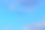 一只美丽的小鸟图片下载