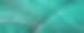 近距离抽象图案的热带树叶与蓝色柔和的颜色，自然背景。图片下载