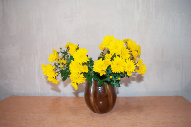 黄菊花花在棕泥花瓶桌上，选择性聚焦图片下载