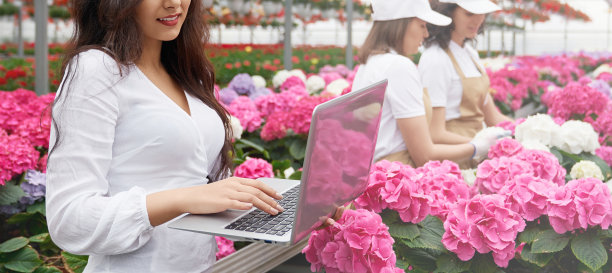 在花房花旁用笔记本电脑工作的女人。图片下载