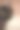 一张灰色的英国猫的脸，特写的侧面图。图片下载
