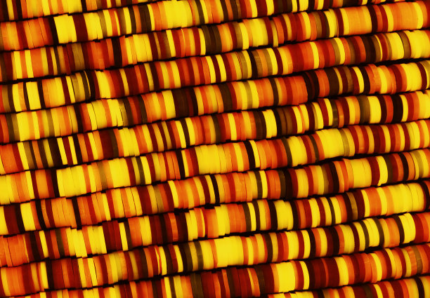 彩色非洲珍珠，照片图片下载