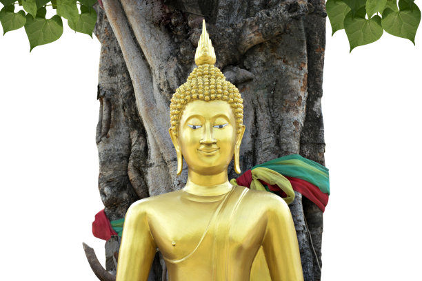 菩提树下的金佛雕像，白色背景上的丝绸与剪枝小径分离。图片下载