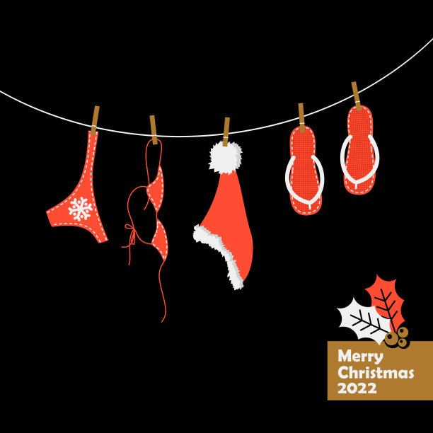 圣诞贺卡。海滩配件、泳衣图片下载