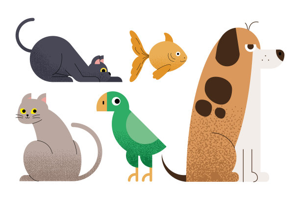 集团的宠物图片下载