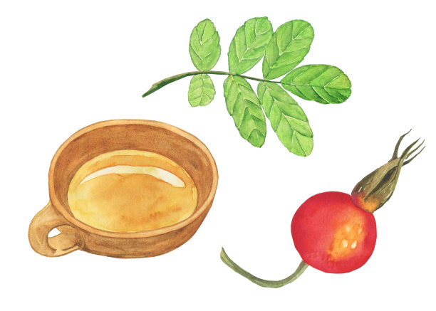 玫瑰果浆果和粘土杯孤立在白色背景。水彩手绘插图。适合食品设计、印刷、菜单装饰。图片下载