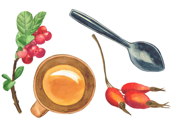 茶具:杯子，茶匙，玫瑰果，白色背景上孤立的越橘。水彩手绘插图。设计菜单的剪贴画，惬意的秋天装饰。图片下载