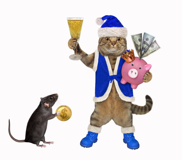 拿着存钱罐和香槟的猫图片下载