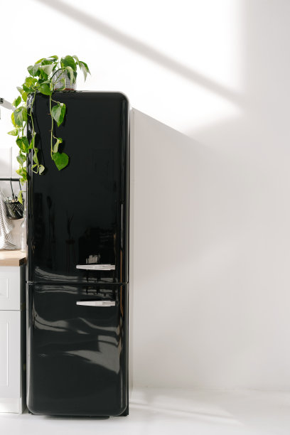 黑色闪亮的冰箱在现代厨房内部图片下载