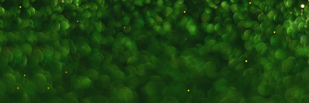 绿色闪闪发光散景背景横幅图片下载