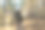 人在森林或公园行走时上山，观察自然和树木图片下载