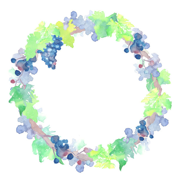 用水彩画出的葡萄和枝叶的圆形框架图片下载