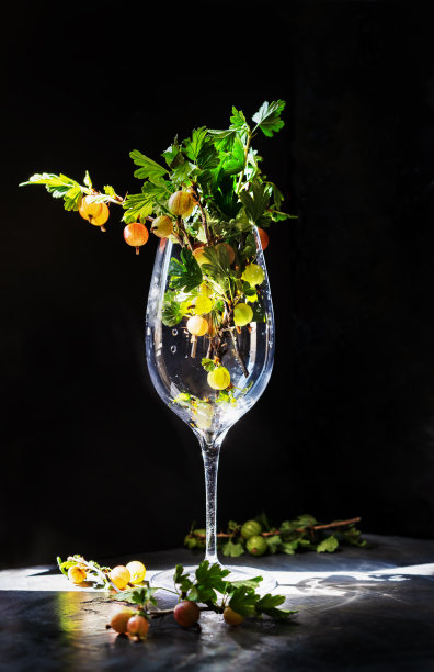 葡萄酒杯里的醋栗叶图片下载