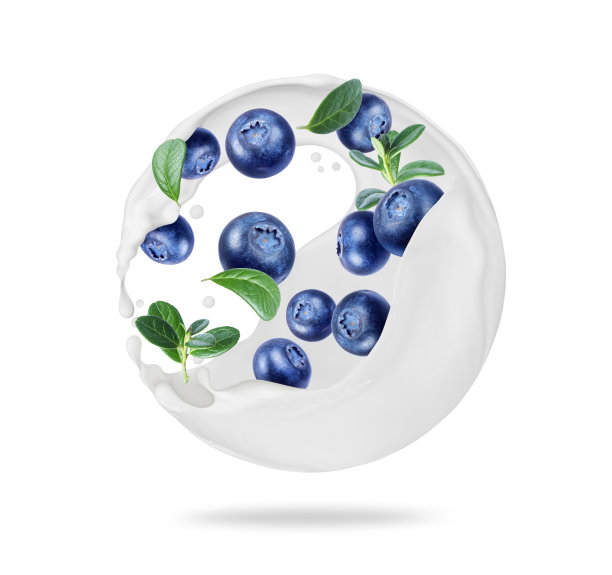 在白色背景上，带有牛奶叶子的蓝莓呈球形飞溅图片下载