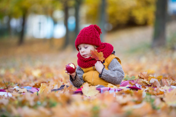 快乐的孩子，在一个阳光明媚的秋天的公园里玩耍，树叶和树叶围绕着他图片下载