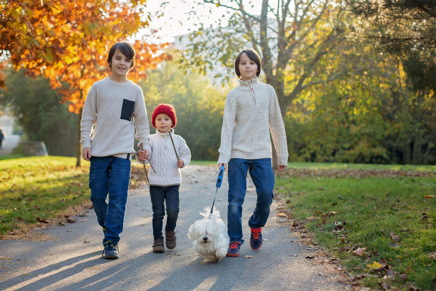 快乐的孩子们，在阳光明媚的秋天公园里和宠物狗玩耍图片下载