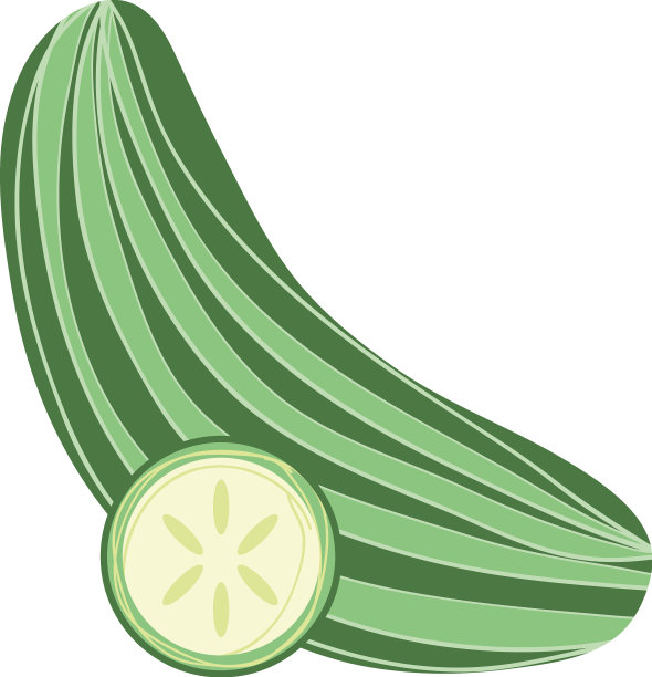 黄瓜新鲜的图标图片下载