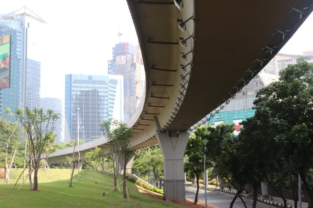 三叶草交换图片下载