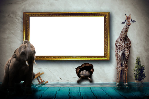 长颈鹿站在房间里与相框。照片组合概念图片下载