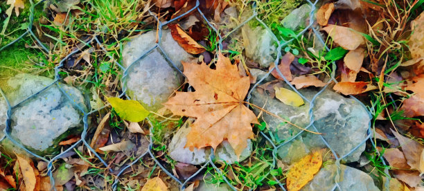 秋色树叶背景-水彩效果股票照片图片下载