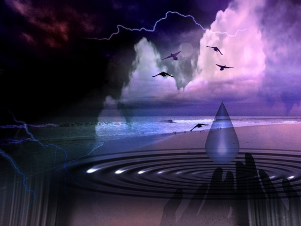 鸟在海岸上空飞翔。祷告的手图片下载