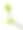 接骨木的绿色枝和叶子孤立在白色的背景。草本植物。图片下载