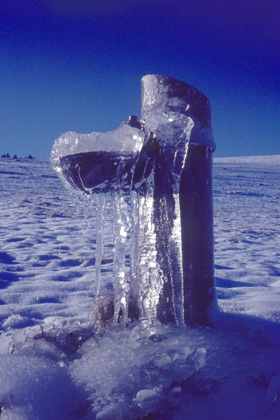 在德国巴伐利亚州布莱斯高的一个冬季高山牧场上的冰饮水机图片下载