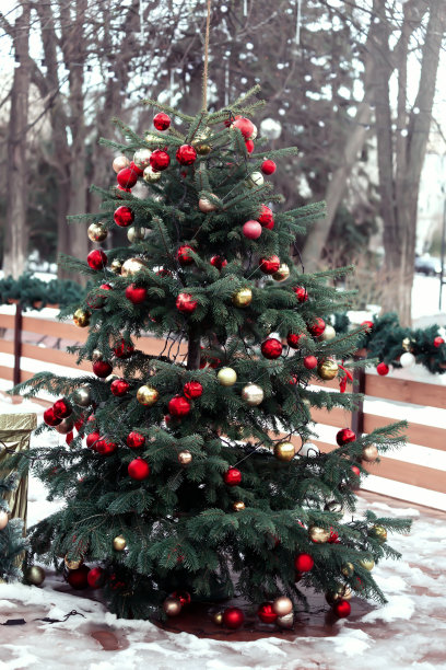 在一个阳光明媚的冬日里，一棵装饰着红色和金色气球的优雅圣诞树矗立在公园里融化的雪地上。圣诞贺卡。新年的街道装饰。图片下载