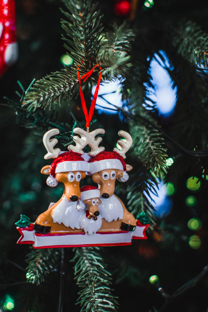 圣诞玩具人形鹿戴着圣诞老人的帽子挂在圣诞树的树枝上。图片下载