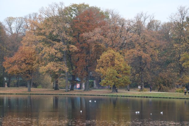 奥图姆图片下载