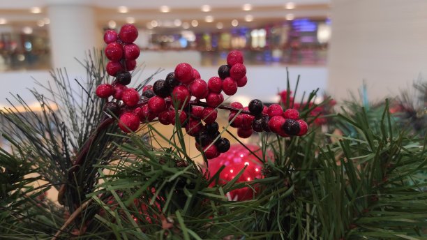 圣诞节装饰品装饰着公共场所图片下载