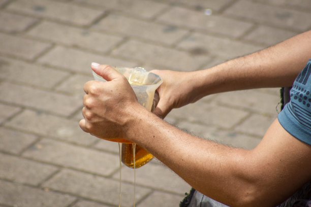 新鲜成熟的玉米棒图片下载