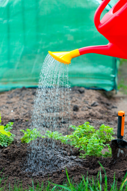 水从喷壶里流出来图片下载