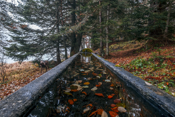 位于西班牙阿伦河谷的比利牛斯山脉的Viella Mitg Aran镇Bassa d'Oles的饮水机图片下载