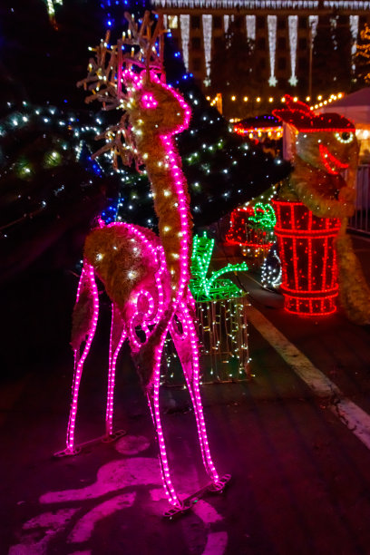 夜晚发光的圣诞鹿。装饰圣诞节和新年假期在城市公园图片下载