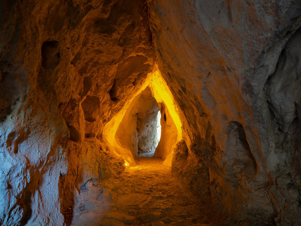 乌鸦喜欢洞穴图片下载