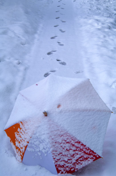 雨伞在雪地上图片下载