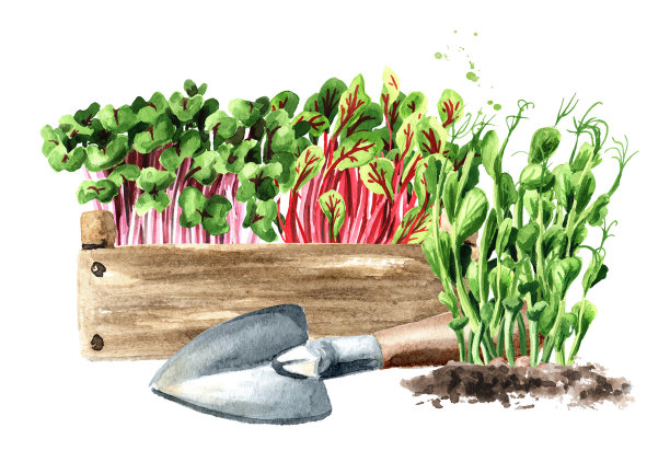 芽儿准备种植。春天在花园里工作。手绘水彩插图孤立的白色背景图片下载