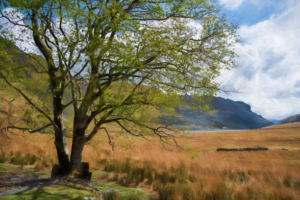 在Blaenau Ffestiniog的Cwmorthin石板采石场的数字绘画图片下载